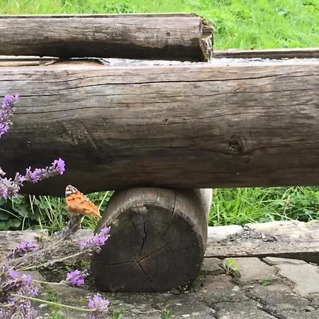 Bachsbort 14 By Interhome شقة *