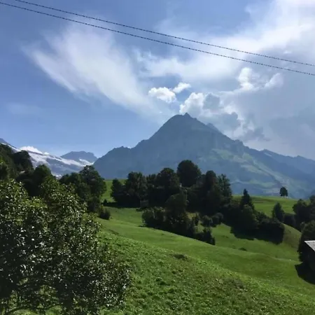 Bachsbort 14 By Interhome Appartement Grindelwald