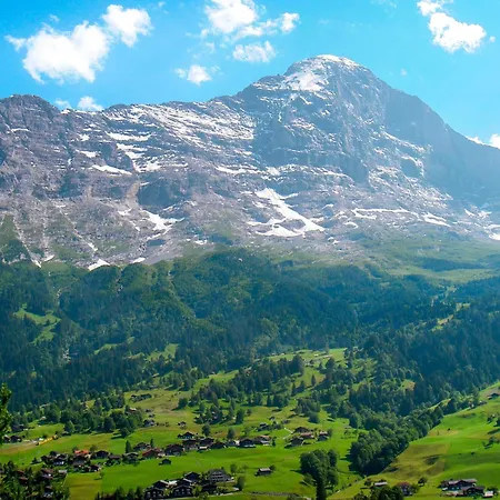 Bachsbort 14 By Interhome * جريندلوالد