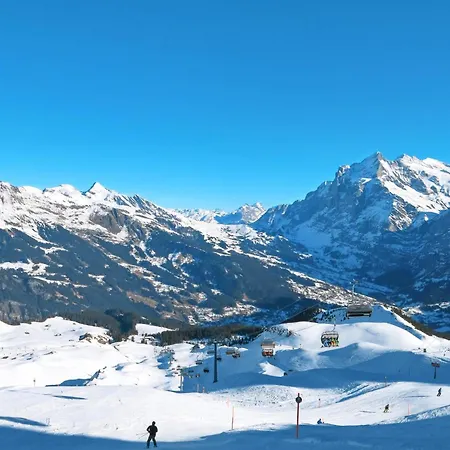 Bachsbort 14 By Interhome Daire Grindelwald