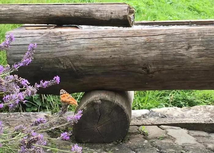 Bachsbort 14 By Interhome 公寓 *