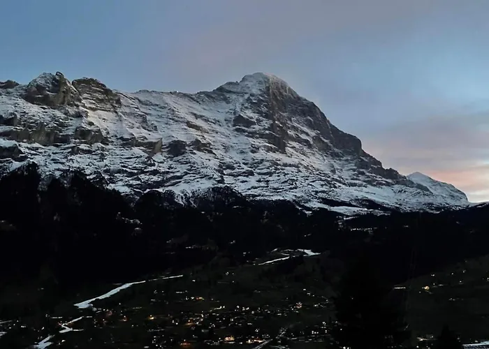 Bachsbort 14 By Interhome * Grindelwald
