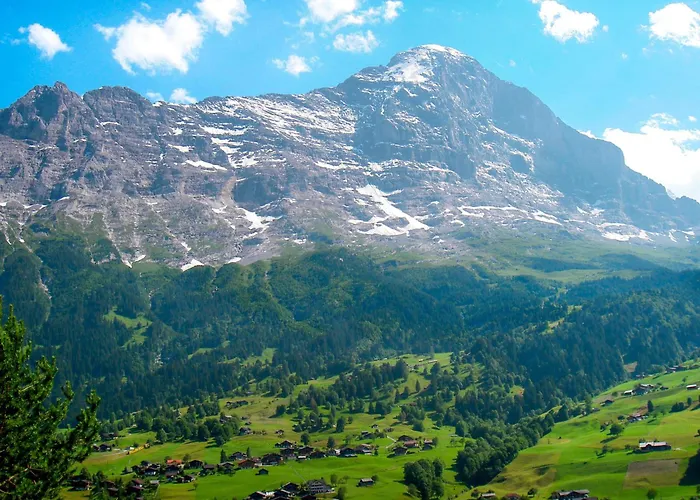 Bachsbort 14 By Interhome * Grindelwald