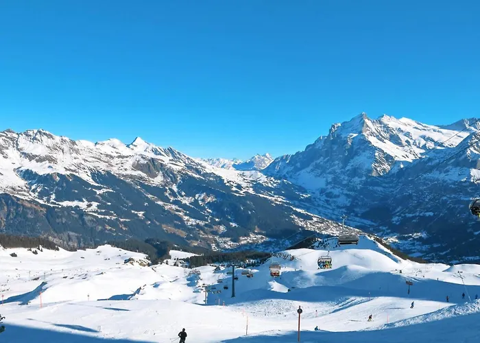 Bachsbort 14 By Interhome Apartman Grindelwald