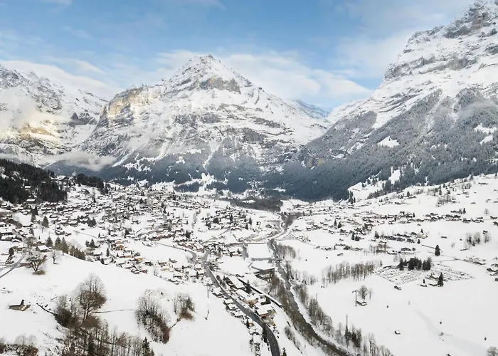 Bachsbort 14 By Interhome Grindelwald