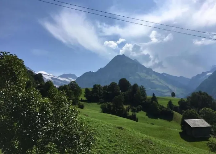 Bachsbort 14 By Interhome Appartement Grindelwald