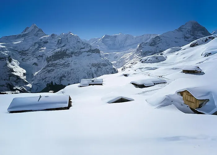 Bachsbort 14 By Interhome * Grindelwald